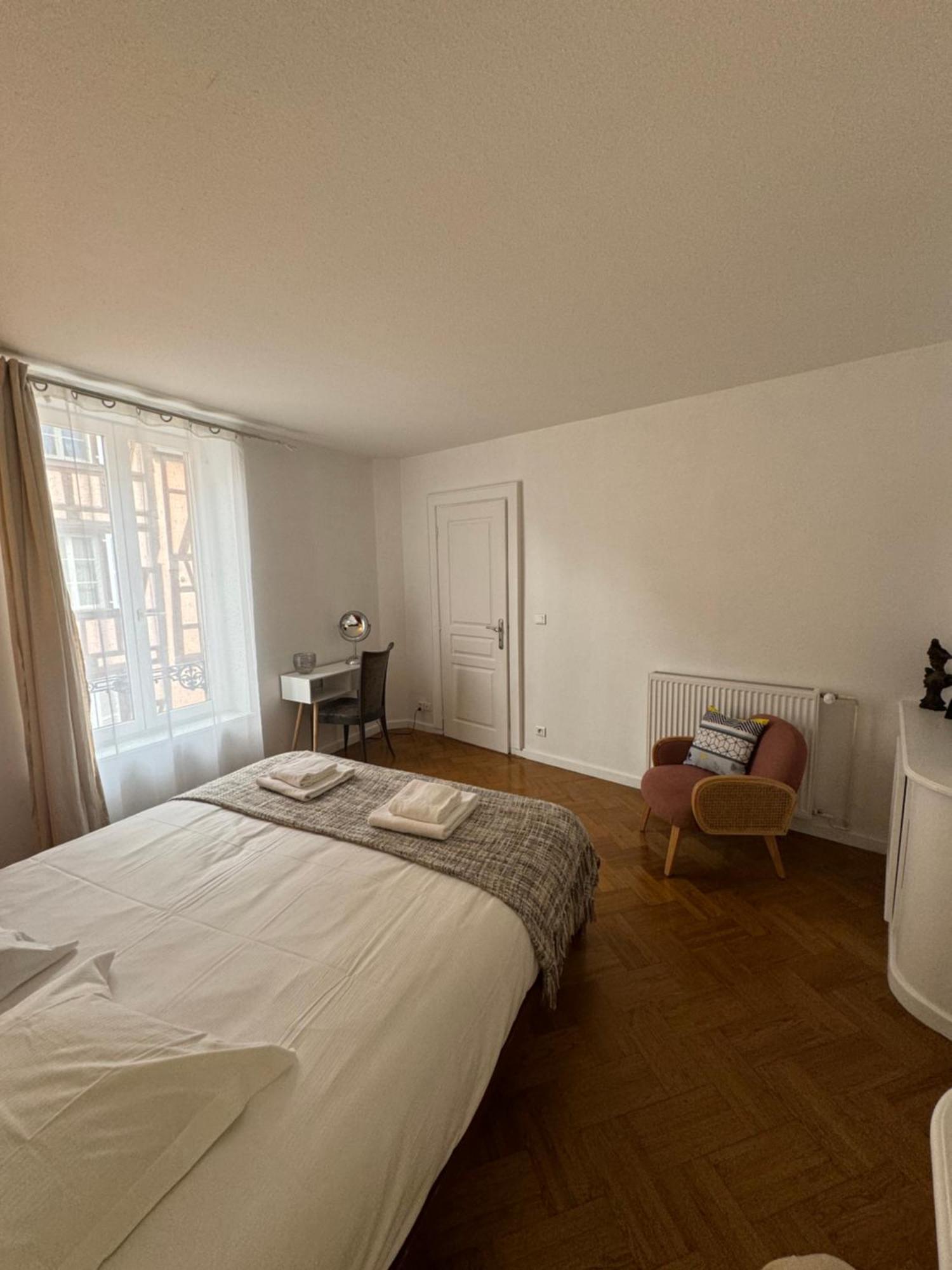Appartement De Standing Hypercentre Кольмар Экстерьер фото